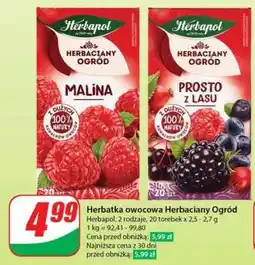 Dino Herbatka owocowa Herbaciany Ogród oferta
