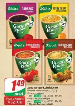 Dino Zupa GORĄCY KUBEK KNORR oferta