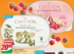 Dino Lody Carte D’Or oferta