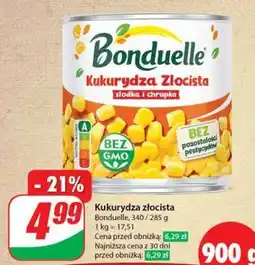 Dino Kukurydza złocista oferta