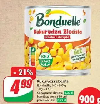 Dino Kukurydza złocista oferta