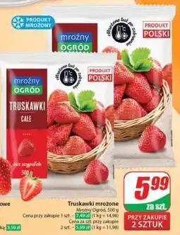 Dino Truskawki mrożone oferta