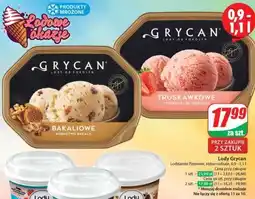 Dino Lody Grycan oferta