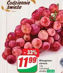 Dino Winogrono ciemne oferta