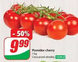 Dino Pomidor cherry oferta
