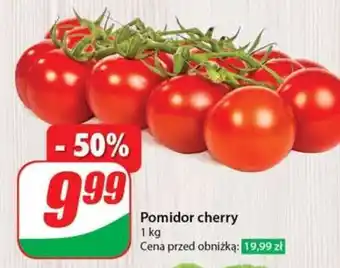 Dino Pomidor cherry oferta