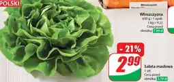 Dino Sałata masłowa oferta
