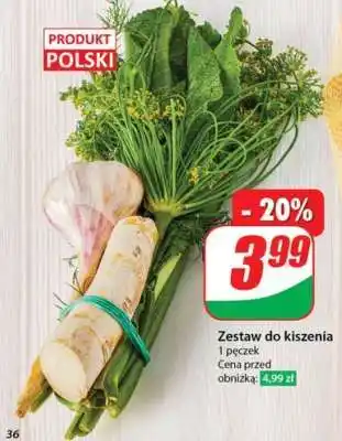 Dino Zestaw do kiszenia oferta