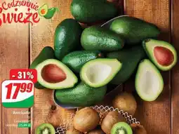Dino Awokado oferta