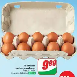 Dino Jaja świeże z wolnego wybiegu oferta