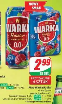 Dino Warka Radler oferta