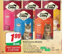 Dino Sweet Catty oferta
