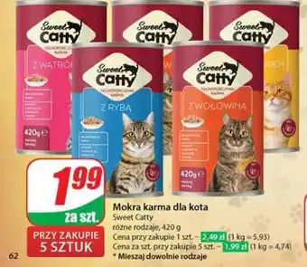 Dino Sweet Catty oferta