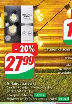 Dino Girlanda żarówki oferta