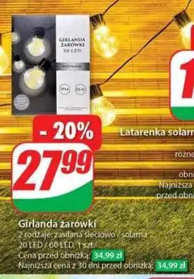 Dino Girlanda żarówki oferta