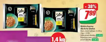 Dino Mokra karma dla kota Sheba oferta