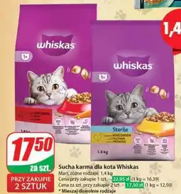 Dino Sucha karma dla kota WHISKAS oferta
