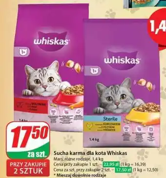 Dino Sucha karma dla kota WHISKAS oferta