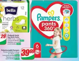 Dino Pieluchomajtki Pampers oferta