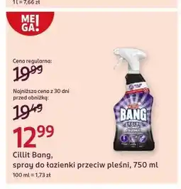 Rossmann Spray koniec z pleśnią Cillit Bang oferta