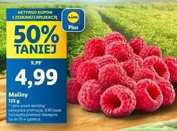 Lidl Maliny oferta
