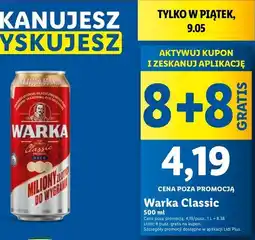Lidl Piwo Warka oferta