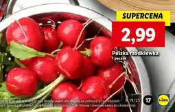 Lidl Rzodkiewka oferta