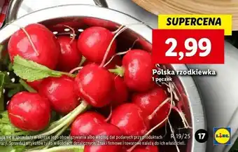 Lidl Rzodkiewka oferta