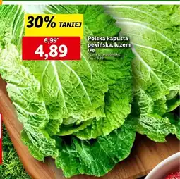Lidl Kapusta pekińska oferta