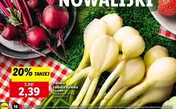 Lidl Cebula dymka oferta
