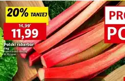 Lidl Rabarbar polska oferta