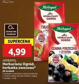Lidl Herbata malina z pigwą Herbapol Herbaciany Ogród oferta