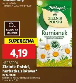 Lidl Herbatka melisa Herbapol Zielnik Polski oferta