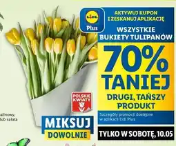 Lidl Bukiet tulipanow oferta