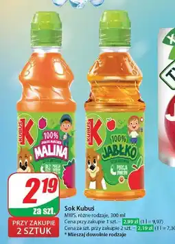 Dino Sok 100% jabłkowy Kubuś Go! oferta
