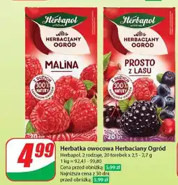 Dino Herbata prosto z lasu Herbapol Herbaciany Ogród oferta