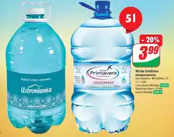 Dino Woda niegazowana Ustronianka oferta