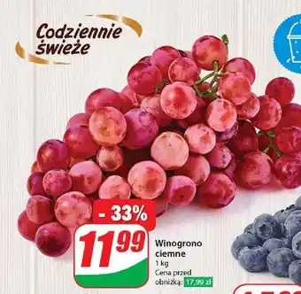 Dino Winogrona ciemne oferta