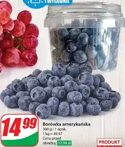 Dino Borówki amerykańskie oferta