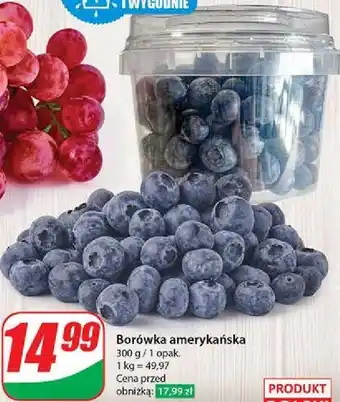 Dino Borówki amerykańskie oferta