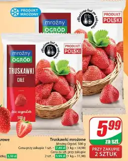Dino Truskawki Mroźny Ogród oferta