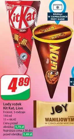Dino Rożek Lion oferta