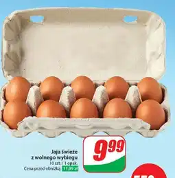 Dino Jaja z wolnego wybiegu kl. l oferta