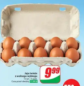 Dino Jaja z wolnego wybiegu kl. l oferta