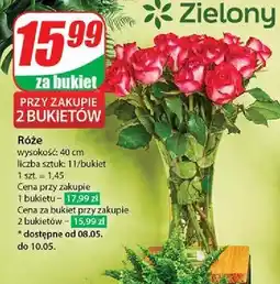 Dino Róże 40 cm oferta