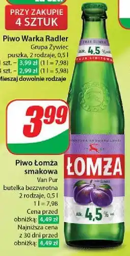 Dino Piwo Łomża Śliwka oferta