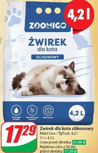 Dino Żwirek silikonowy Zoomigo oferta