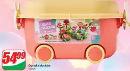 Dino Klocki ogród oferta
