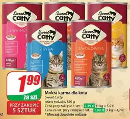 Dino Karma dla kota z wołowiną Sweet Catty oferta