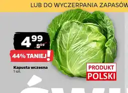 Netto Kapusta wczesna oferta